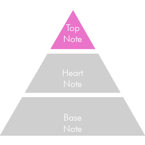 Fragrance Top Note