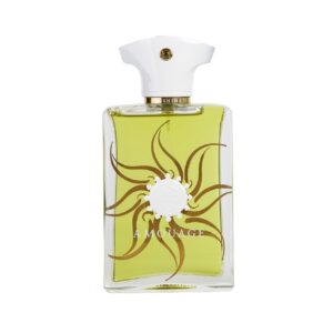 Amouage Sunshine Man Eau de Parfum for Men