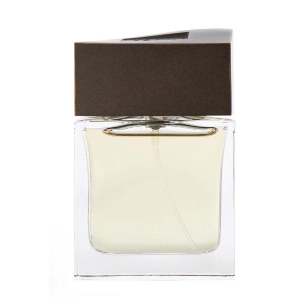 Brioni Brioni for Men Eau de Toilette for Men