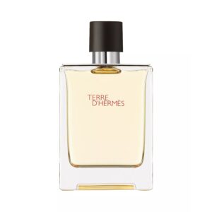 Hermes Terre d'Hermes Eau de Toilette for Men