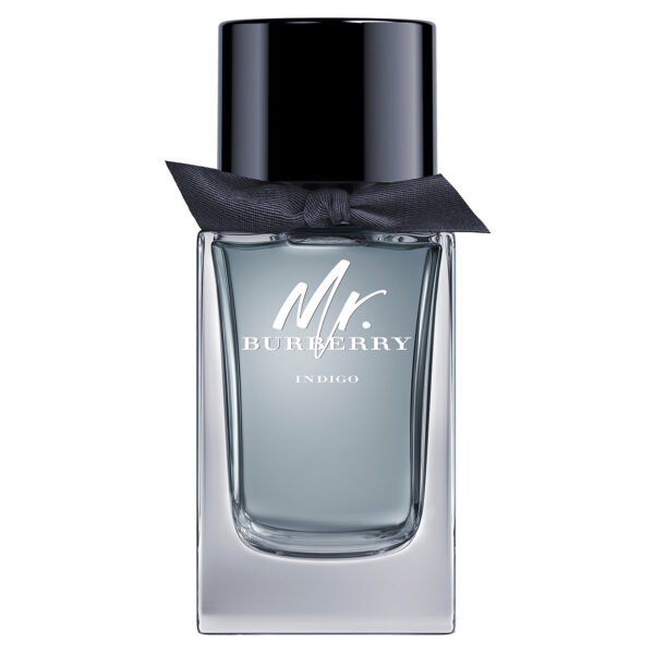 Burberry Mr Burberry Mr. Burberry Indigo Eau de Toilette for Men